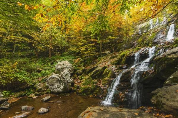 天秤座2023年提运指南秋季情况 转运方式