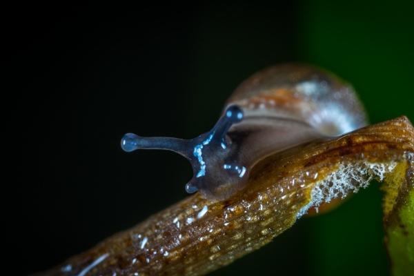 摩羯座不该爱的三大星座，摩羯的情劫星座