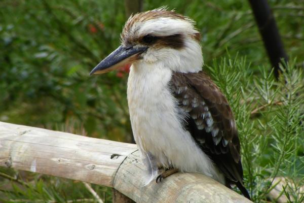 艾菲尔 铁汉柔情！最【容易落泪】的星座男大点名