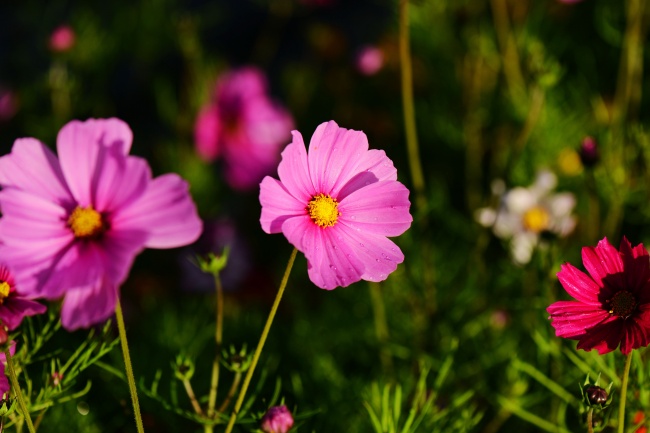 新公司起名四字大全集 新公司起名大全集四个字