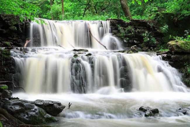 苏珊米勒 每日星座运势3.20