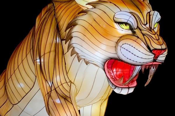 2023年天蝎座冬季爱情运分析 运势详解