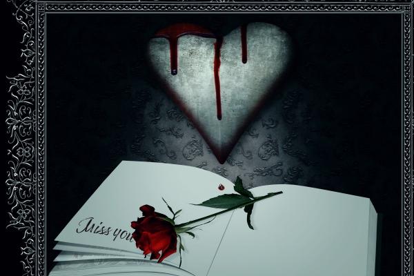 天秤座今年运势2023 感情财运怎么样