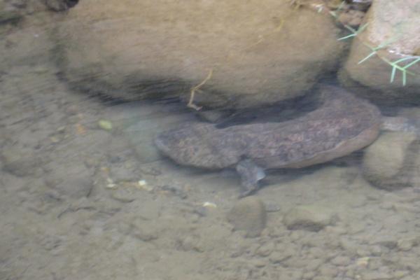 好一点公司名字大全 好听的公司名字大气