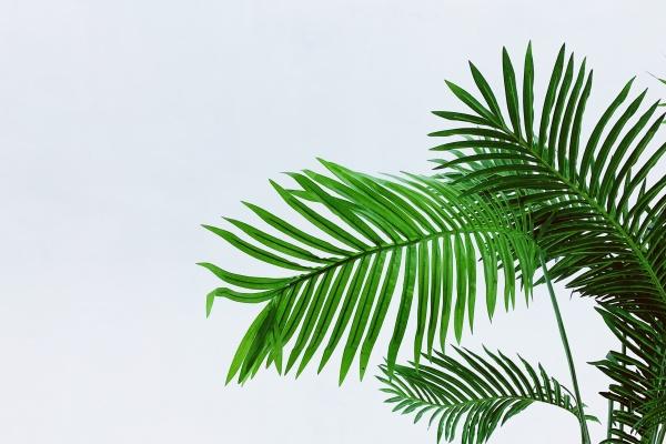 一些好的公司名称 公司起名不重名的名字