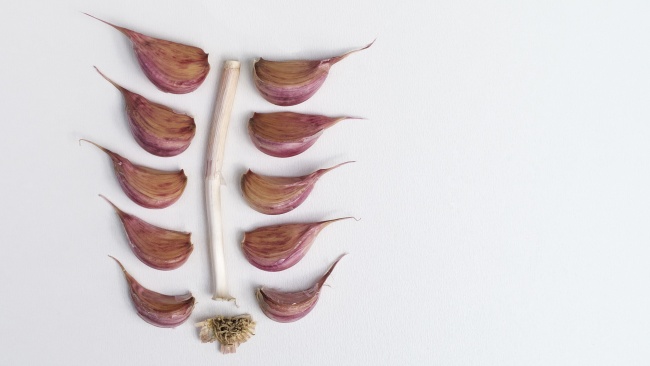 狂月天时 12星座一周简运2023/03/20-03/26