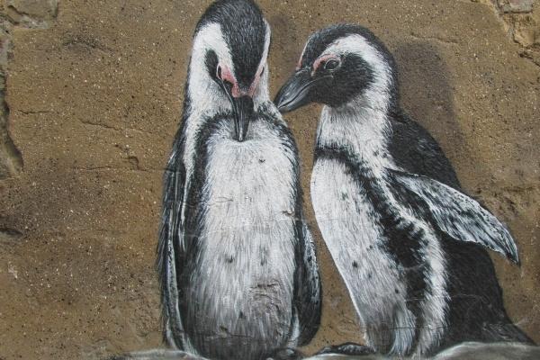 2023年最旺财数字 兔年吉祥数字