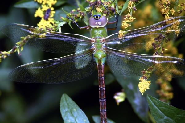 4月下旬行旺运、发横财的4大星座,金银赚满盆!