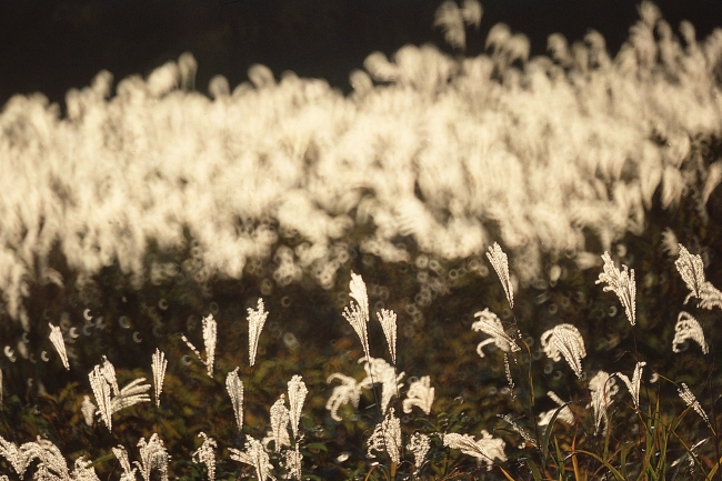 唐立淇  12星座今日运势3.22