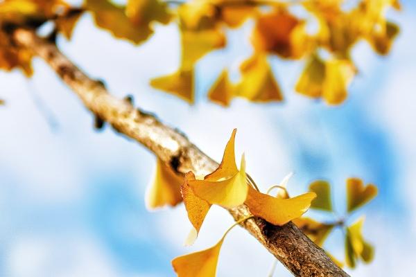 4月起日子春风得意,财运贵人运强势来袭的3大星座