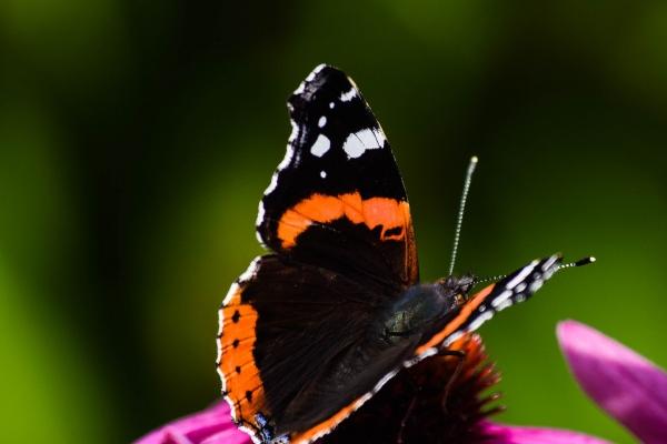 好点的公司名字 2023年最吉利旺财的公司名字