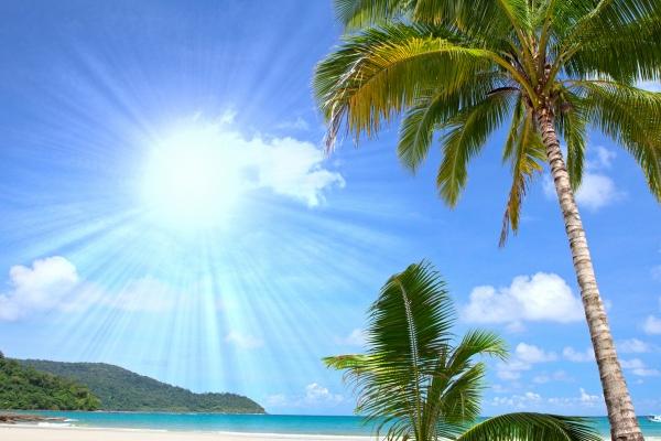 2023年孩子是啥命 宝宝是什么命