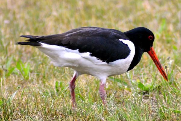 好听吉利的公司名称 带有寓意的大气吉祥公司