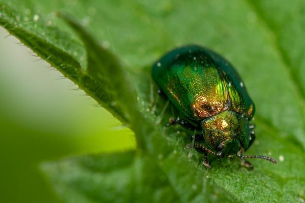三个字响亮公司的名字有哪些 最吉利旺财的公司名字