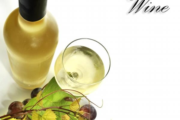 2023公司最吉祥名字 好听顺口的公司名字