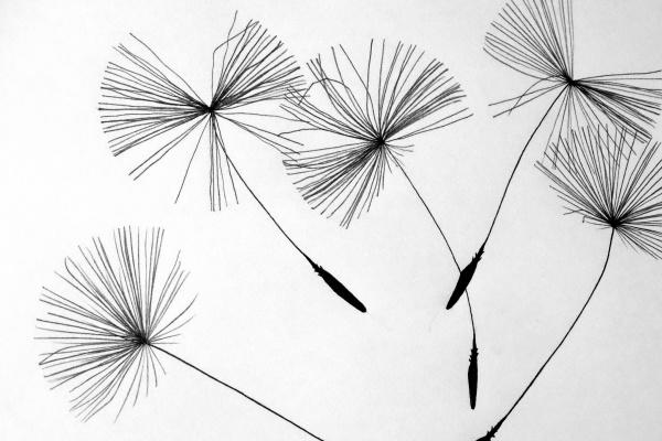 吉祥点的公司名字 名字好听的公司名称