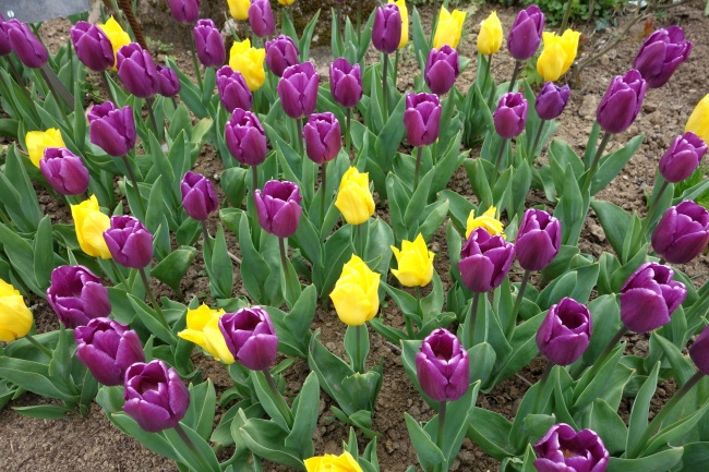 吉祥寓意的公司名字 三字顺口名字公司