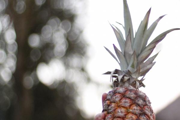 判答 本周天秤座运势详细解读3.27-4.2