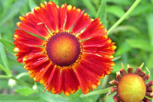 2023年4月9日可以提车吗 适合提新车吗