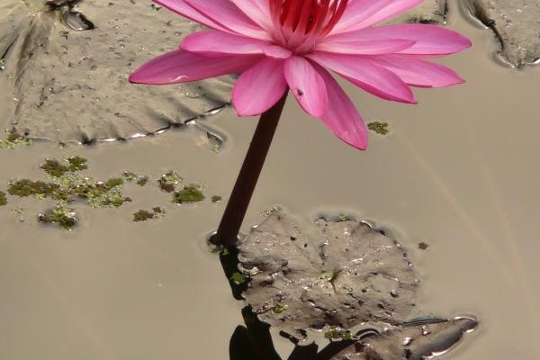 2023年4月13日适合搬家吗 这天是搬家黄道吉日吗