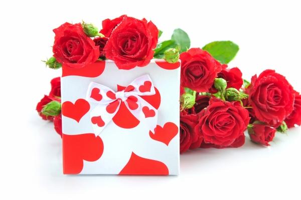 2011年属兔几月出生好 最好的出生日期