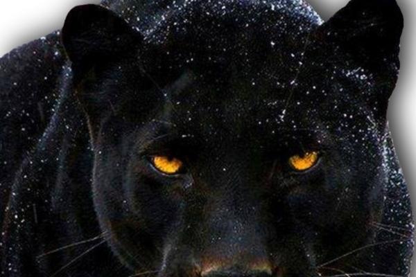 闹闹女巫 12星座周运势：0327~0402