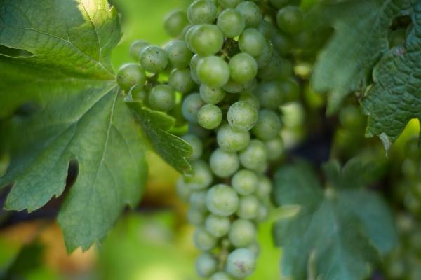 2023年4月9日出行好吗 宜出行吗