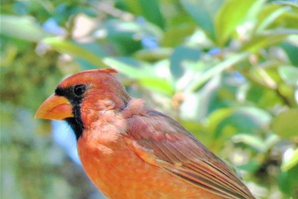 2023年4月13日适合提车吗 买车提车好不好