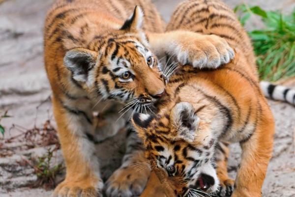 2023年4月7日装修好吗 今日装修吉时查询