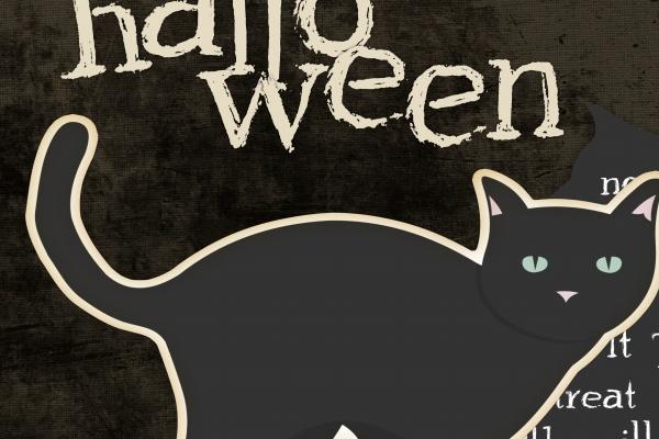 判答 本周处女座运势详细解读3.27-4.2