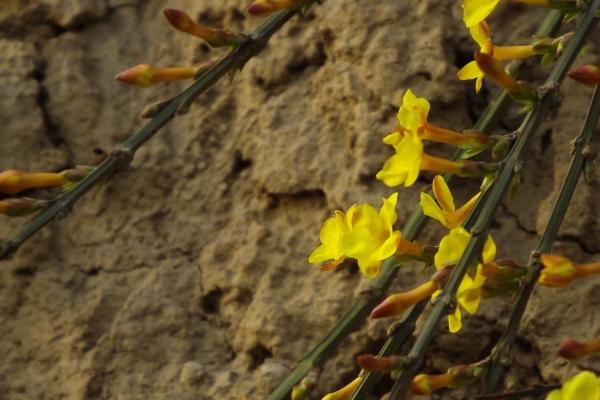 2023年4月11日搬家好吗 今天搬迁好不好