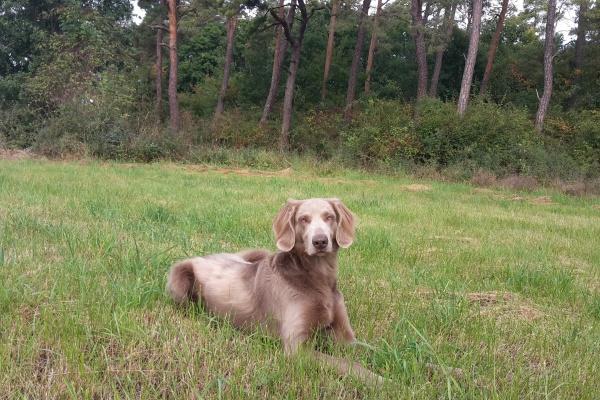 2023年4月3日领结婚证好不好 领证寓意好不好