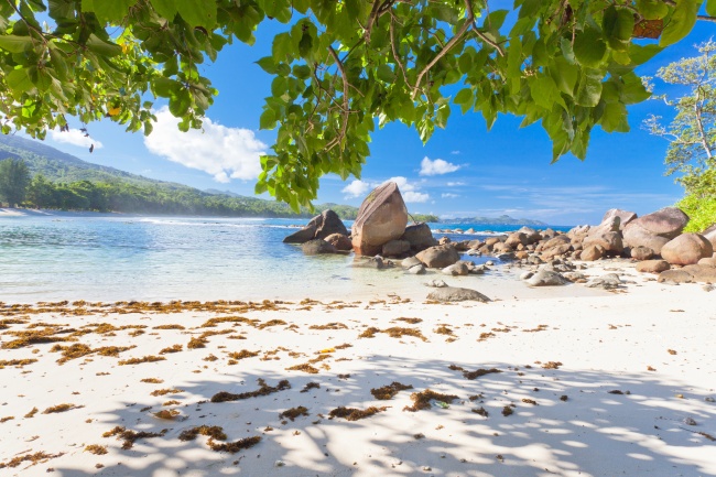 公司注册名字大全参考 好听吉利的公司名称