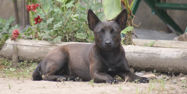 2023年4月20日结婚好吗 谷雨适合嫁娶吗