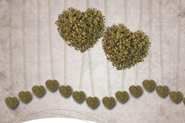 兔年出生的孩子是什么命 兔宝宝命运分析