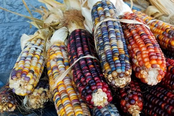 十二星座2023年5月份健康运势排行分析  谁的惊喜最大  　　