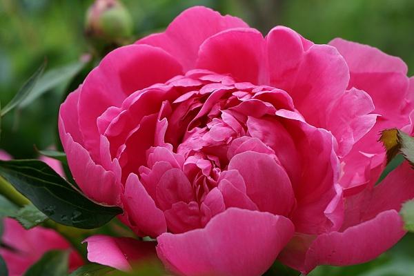 2023年4月11日领证好吗 登记结婚合不合适