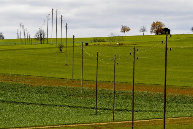 十二星座2023年5月份学业运势排名分析  最后一名令人意外  　　