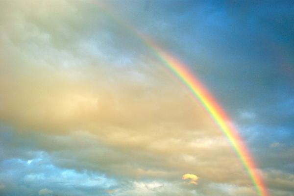 摩羯座2023年运势如何 今年运势查询