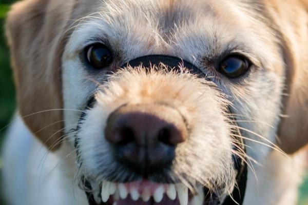 2023年4月2日入宅好不好 入新居好不好