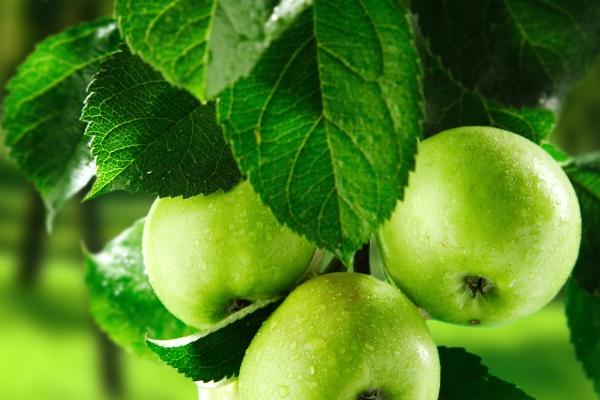 属兔都有哪些年出生的 属兔的生于哪年