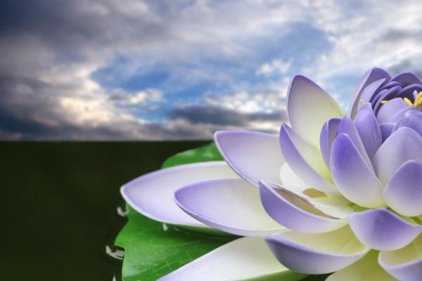 5月起贵人当道!这4大星座注定收获万贯家财