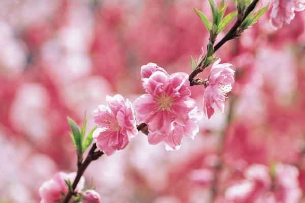 2023年4月16日开业好不好 日子怎么样