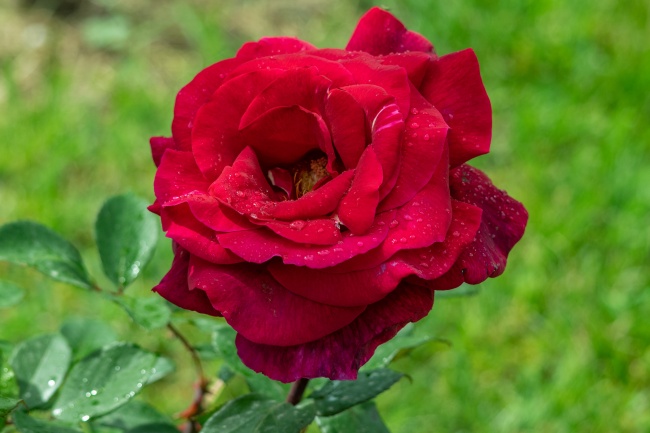 2023年巨蟹座财运如何 财运的建议