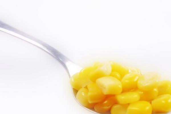 属鼠天蝎女2023年运势 整体运势情况