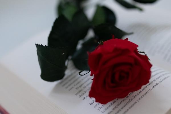 2023年4月14日装修开工好吗 适合装修新房子吗