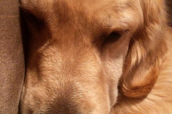 闰二月的兔宝宝最好命 宝宝出生有福气