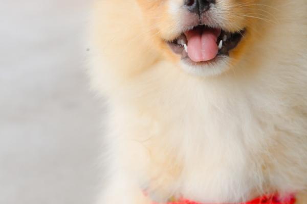 未来2个月这3大星座各种大财纷沓而至,等着发财!