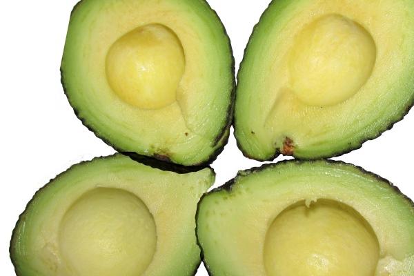 属兔的几月生人最好 兔几月份出生的最好最旺