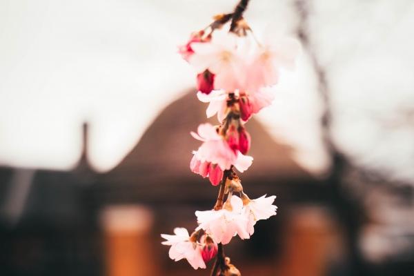 2023年4月14日动土好吗 是动土黄道吉日吗